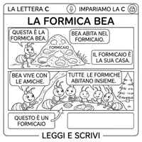 anteprima - Materiale di supporto/inclusione - La Formica BEA - Pagina di copertina