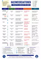 Vorschau - Poster - Nachweisreaktionen – Spickzettel & Übersicht für Chemie - Deckblatt