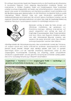 Vorschau - Arbeitsblätter - Ökonomische Effekte von Massentourismus - Seite 3