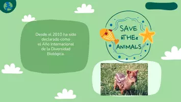 Vista previa - Presentaciones - Celebremos el Día del Medio Ambiente - página 3