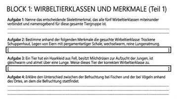 Vorschau - Arbeitsblätter - Stammbaum der Wirbeltiere Biologie Klasse 8 PLUS Lernposter - Seite 3