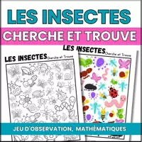 Aperçu - Matériel pour travaux manuels / dessin - Cherche et Trouve les insectes - Page 1
