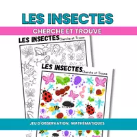 Aperçu - Matériel pour travaux manuels / dessin - Cherche et Trouve les insectes - Page de couverture