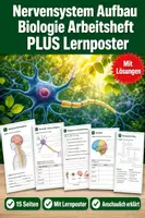 Vorschau - Arbeitsblätter - Nervensystem Aufbau Biologie Arbeitsheft PLUS Lernposter - Deckblatt