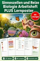 Vorschau - Arbeitsblätter - Sinneszellen und Reize Biologie Arbeitsheft PLUS Lernposter - Deckblatt