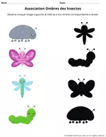 Aperçu - Jeux - Association ombres des insectes - Page 2
