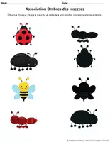 Aperçu - Jeux - Association ombres des insectes - Page 3