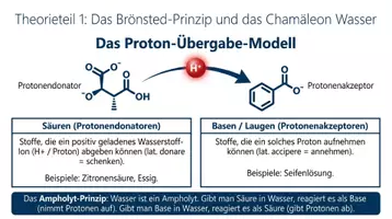 Vorschau - Arbeitsblätter - Säuren und Laugen im Alltag – Arbeitsheft PLUS Lernposter - Seite 2