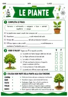 anteprima - Esercizi - Le piante scuola primaria - Pagina 3