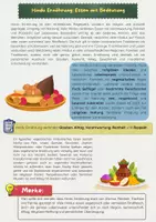 Vorschau - Arbeitsblätter - Hindu Ernährung Religion Arbeitsblatt - Seite 1