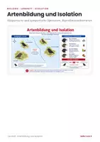 Vorschau - Arbeitsblätter - Artenbildung und Isolation - Lernheft Biologie - Seite 1