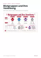 Vorschau - Arbeitsblätter - Blutgruppen und Vererbung – Lernheft Biologie - Seite 1