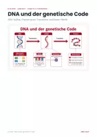 Vorschau - Arbeitsblätter - DNA und genetischer Code – Lernheft Biologie - Seite 1