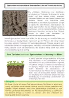Vorschau - Arbeitsblätter - Bodenarten (Sand, Lehm, Ton) Landwirtschaft - Seite 2