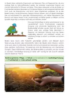 Vorschau - Arbeitsblätter - Bodenarten (Sand, Lehm, Ton) Landwirtschaft - Seite 3