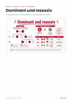 Vorschau - Arbeitsblätter - Dominant und rezessiv – Biologie Lernheft Genetik - Seite 1
