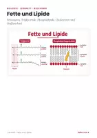 Vorschau - Arbeitsblätter - Fette und Lipide – Biologie Lernheft Biochemie - Seite 1
