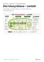 Vorschau - Arbeitsblätter - Fotosynthese vertieft – Lernheft Biologie - Seite 1