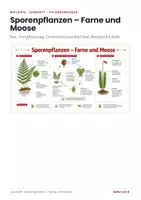 Vorschau - Arbeitsblätter - Sporenpflanzen Farne Moose – Lernheft Biologie - Seite 1