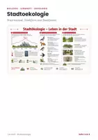 Vorschau - Unterrichtsreihen - Stadtökologie Lernheft Biologie mit Lösungen - Seite 1