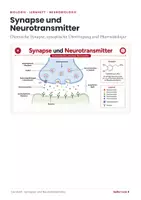 Vorschau - Arbeitsblätter - Synapse & Neurotransmitter – Biologie Lernheft - Seite 1