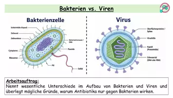 Vorschau - Stundenentwürfe - Antibiotika & Resistenzen - Bakterienkiller auf Rezept | Komplette Stunde inkl. Arbeitsblatt, Präsentation & Lösungen - Seite 3