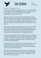 Vorschau - Stundenentwürfe - Leseverstehen: Die Krähe – Sachtext - Seite 1