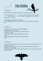 Vorschau - Stundenentwürfe - Leseverstehen: Die Krähe – Sachtext - Seite 2