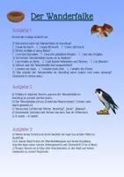 Vorschau - Stundenentwürfe - Leseverstehen: Der Wanderfalke – Sachtext - Seite 2