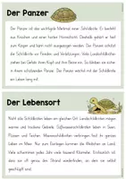 Vorschau - Arbeitsblätter - (wachsendes) MATERIALPAKET - Abschreibkartei - Abschreibtexte - Seite 3