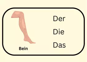 Vorschau - Bildkarten - Klammerkarten-Artikel - Seite 3