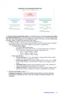 Vista previa - Unidades / Secuencias / Situaciones de Aprendizaje - 07M3SEM6-7 - Ideas principales a textos discontinuos - página 3