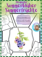 Vorschau - Mal- und Bastelvorlagen - Heimische Sommerblüher und Sommerfrüchte - Ein Herbarium Kunstprojekt - Deckblatt