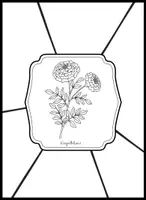 Vorschau - Mal- und Bastelvorlagen - Heimische Sommerblüher und Sommerfrüchte - Ein Herbarium Kunstprojekt - Seite 3
