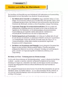 Vorschau - Präsentationen/Tafelbilder - Pädagogik-Werkstatt: Elternabend - Seite 2