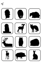 Vorschau - Arbeitsblätter - Klettmappe: Tiere im Wald und ihre Schatten/ Paare finden(TEACCH) - Seite 2