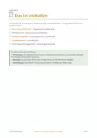 Vorschau - Anderer Materialtyp - Klassenleitung Orga - Zeugniszeit - Seite 2