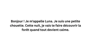 Aperçu - Préparation de séance / Séance complète - Kamishibaï | La chouette de la nuit | Les animaux de la forêt - Page 2