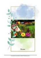 Vorschau - Bildkarten - Stilles Bilderbuch Blumen Beschäftigung für Demente Demenz Kostenlos - Seite 2