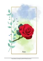 Vorschau - Bildkarten - Stilles Bilderbuch Blumen Beschäftigung für Demente Demenz Kostenlos - Seite 3