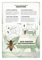 Vorschau - Arbeitsblätter - Bestimmungsheft Insekten: Biene, Wespe & Co - Seite 1
