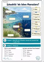 Vorschau - Arbeitsblätter - Unterwasserwelt Klasse 3 -4 Lebensräume und Meeresschutz - Seite 2