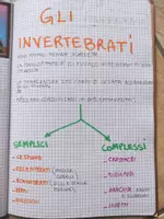 anteprima - Materiale di supporto/inclusione - QUADERNO DI SCIENZE classe 4°- per tutto l'anno scolastico - Pagina 1