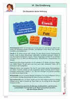 Vorschau - Unterrichtsreihen - Die Ernährung | Klasse 5-7 Biologie Sekundarstufe | Nahrungsbausteine, Nahrungspyramide, Frühstück, Pausenbrot, Zucker, Wasser | differenzierte Arbeitsblätter, Kopiervorlagen, Freiarbeit mit Lösungen | Lernwerkstatt Gesundheit - Seite 3