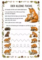 Vorschau - Mal- und Bastelvorlagen - Alles rund um den Fuchs – Wissens- & Mitmach-Heft (Kindergarten–1. Klasse) - Seite 3