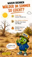 Vorschau - Bildkarten - Wie entsteht ein Waldbrand? - QUAPPIZ Kindernews - Seite 1