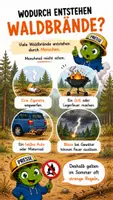 Vorschau - Bildkarten - Wie entsteht ein Waldbrand? - QUAPPIZ Kindernews - Seite 2