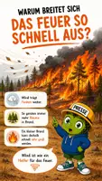 Vorschau - Bildkarten - Wie entsteht ein Waldbrand? - QUAPPIZ Kindernews - Seite 3