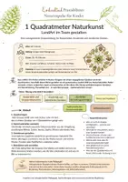 Vorschau - Arbeitsblätter - Naturimpulse für Kinder - 1 Quadratmeter Naturkunst – LandArt im Team gestalten - Deckblatt
