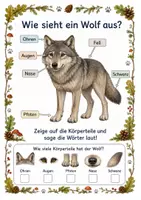 Vorschau - Arbeitsblätter - Alles rund um den Wolf – Wissens‑ & Mitmachheft (Kindergarten – 1. Klasse) - Seite 1